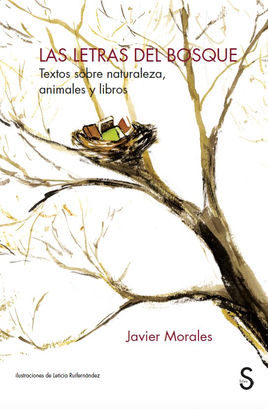 Las letras del Bosque, de MORALES, JAVIER | portada del libro