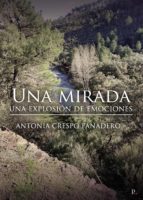 Una mirada, una explosión de emociones, de ANTONIA CRESPO PANADERO | portada del libro
