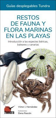 RESTOS DE FAUNA Y FLORA MARINAS EN LAS PLAYAS, de HERNANDEZ | portada del libro