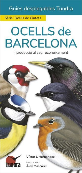 OCELLS DE BARCELONA - GUIAS DESPLEGABLES TUNDRA, de HERNANDEZ | portada del libro