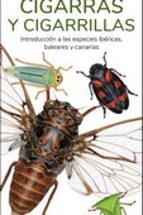 CIGARRAS Y CIGARRILLAS - GUIAS DESPLEGABLES TUNDRA, de Víctor J. Hernández | portada del libro