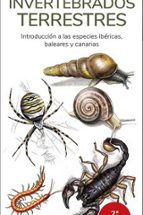 INVERTEBRADOS TERRESTRES - GUIAS DESPLEGABLES TUNDRA, de Víctor J. Hernández | portada del libro