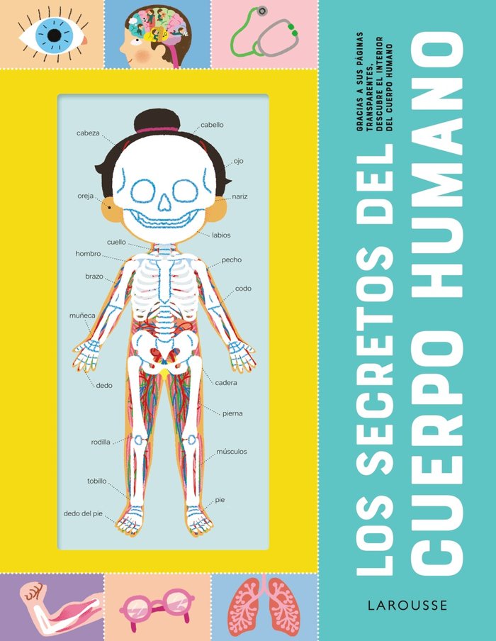 LOS SECRETOS DEL CUERPO HUMANO, de EDITIONS LAROUSSE | portada del libro