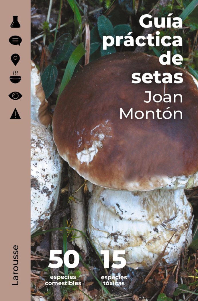 GUIA PRACTICA DE SETAS, de MONTON MARTINEZ, JOAN | portada del libro