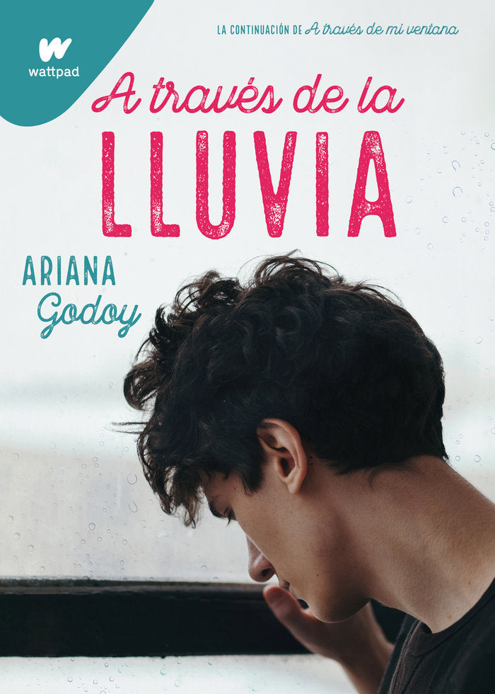 A TRAVES DE LA LLUVIA TRILOGIA HERMANOS HIDALGO 3, de GODOY,ARIANA | portada del libro