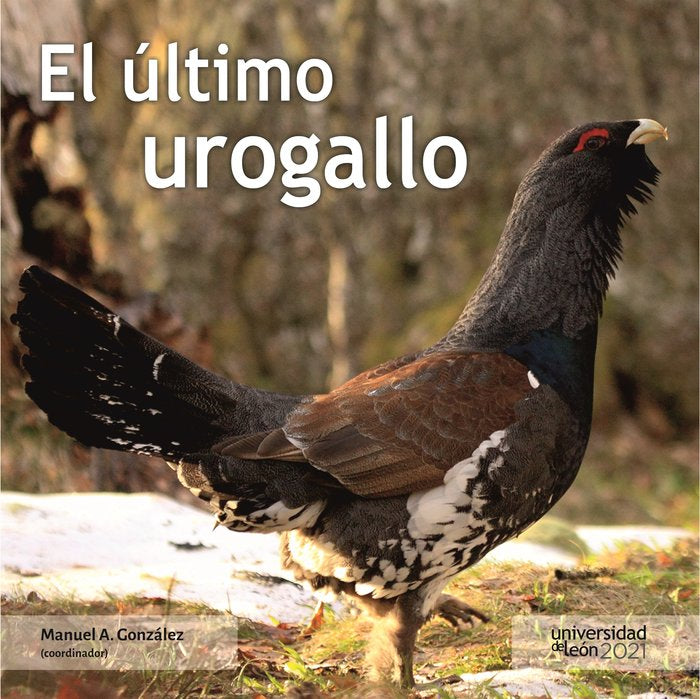 EL ULTIMO UROGALLO, de AA.VV. | portada del libro