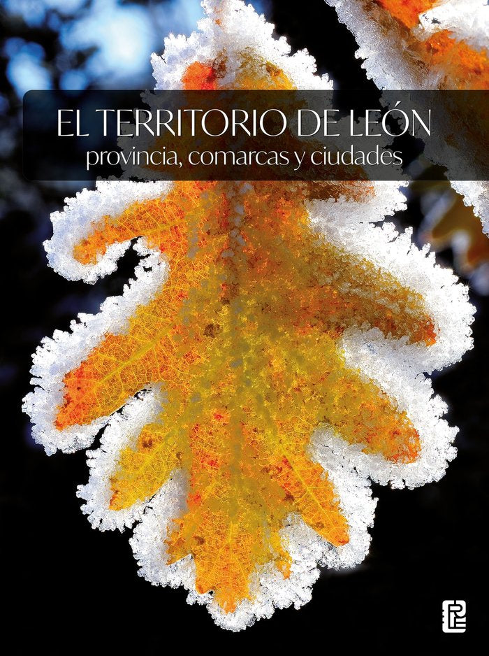 EL TERRITORIO DE LEON: PROVINCIA, COMARCAS Y CIUDADES, de LOPEZ TRIGAL, LORENZO | portada del libro