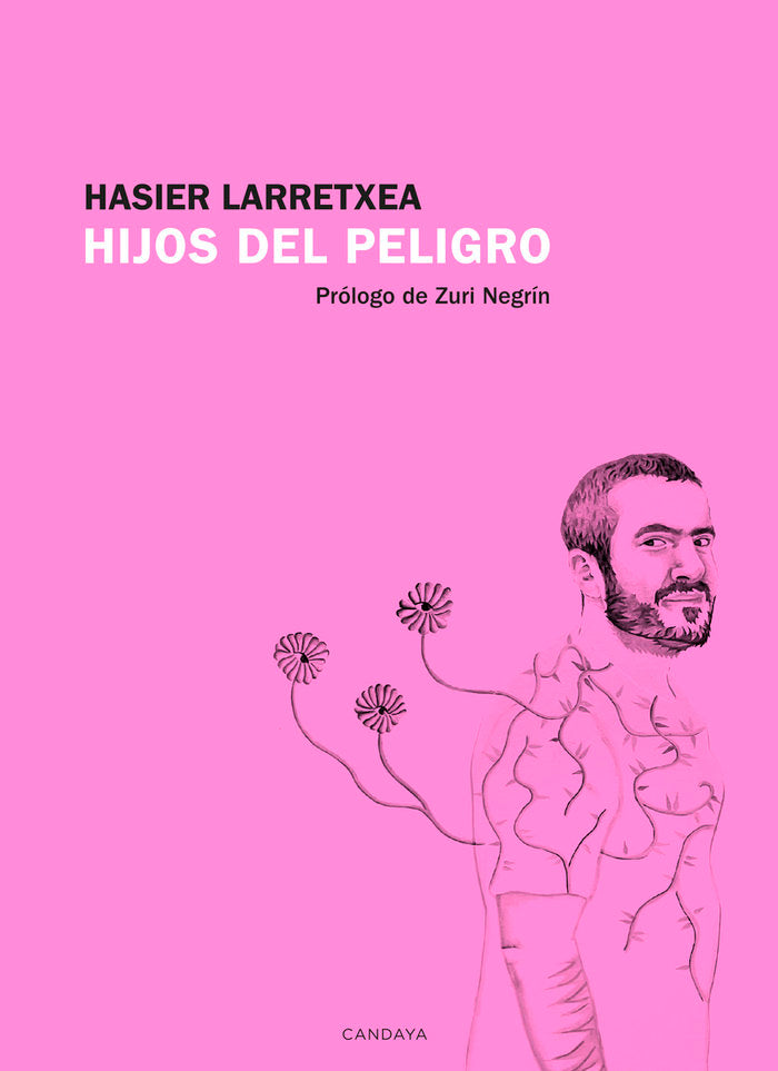 HIJOS DEL PELIGRO, de LARRETXEA , HASIER | portada del libro