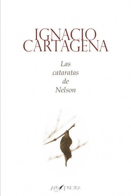 Las cataratas de Nelson, de IGNACIO CARTA | portada del libro