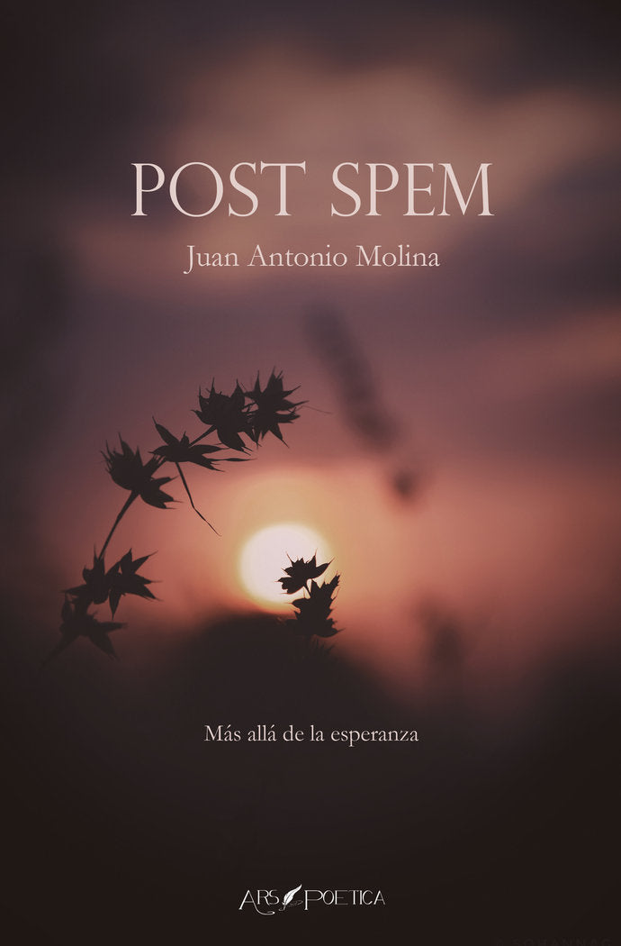 POST SPEM, de MOLINA GOMEZ, JUAN ANTONIO | portada del libro