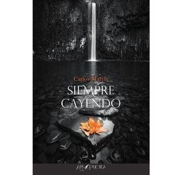 SIEMPRE CAYENDO, de MARTIN FERNANDEZ, CARLOS | portada del libro