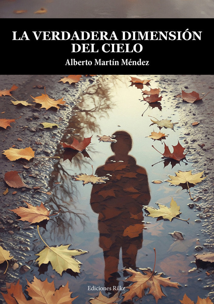 LA VERDADERA DIMENSIÓN DEL CIELO, de Martín Méndez, Alberto | portada del libro