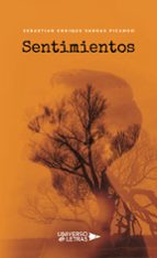 Sentimientos, de SEBASTIAN ENRIQUE VARGAS PIZANGO | portada del libro