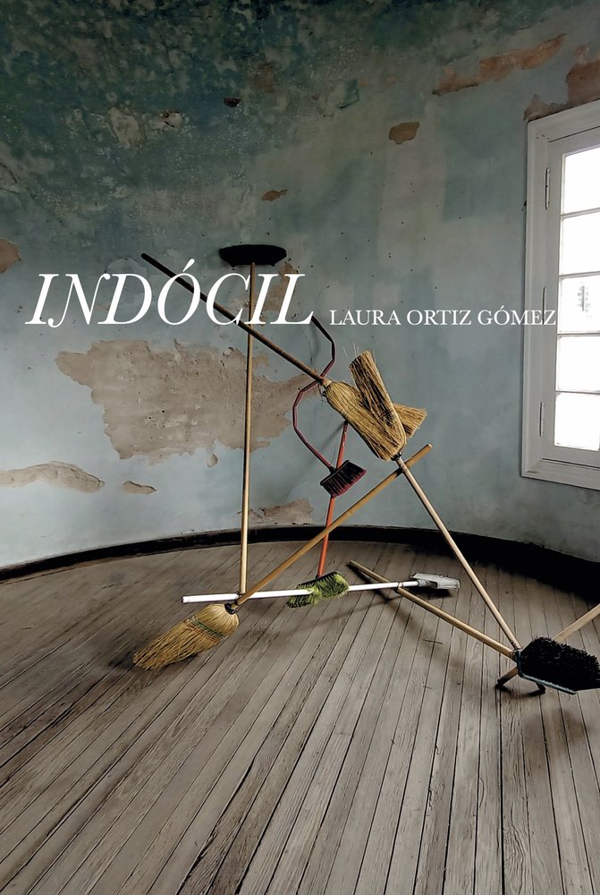 Indócil, de ORTIZ GOMEZ, LAURA | portada del libro
