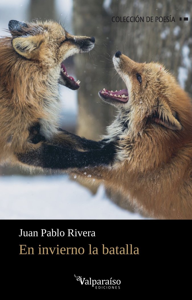 EN INVIERNO LA BATALLA, de RIVERA, JUAN PABLO | portada del libro