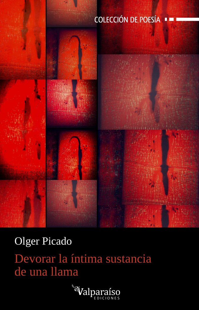 DEVORAR LA INTIMA SUSTANCIA DE UNA LLAMA, de PICADO, OLGER | portada del libro