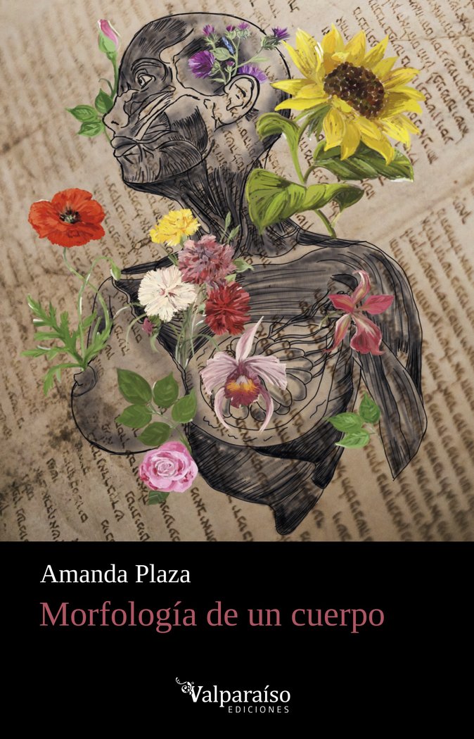 MORFOLOGIA DE UN CUERPO, de PLAZA, AMANDA | portada del libro