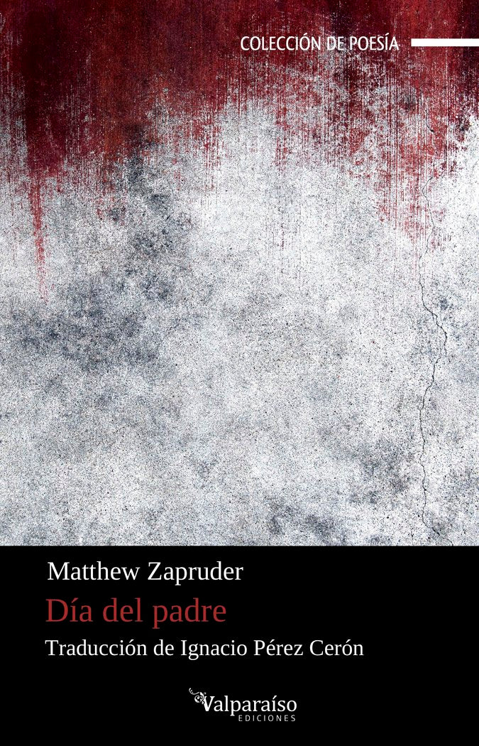 DIA DEL PADRE, de ZAPRUDER, MATTHEW | portada del libro