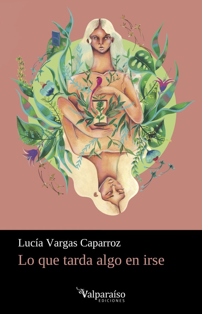 LO QUE TARDA ALGO EN IRSE, de VARGAS, LUCIA | portada del libro