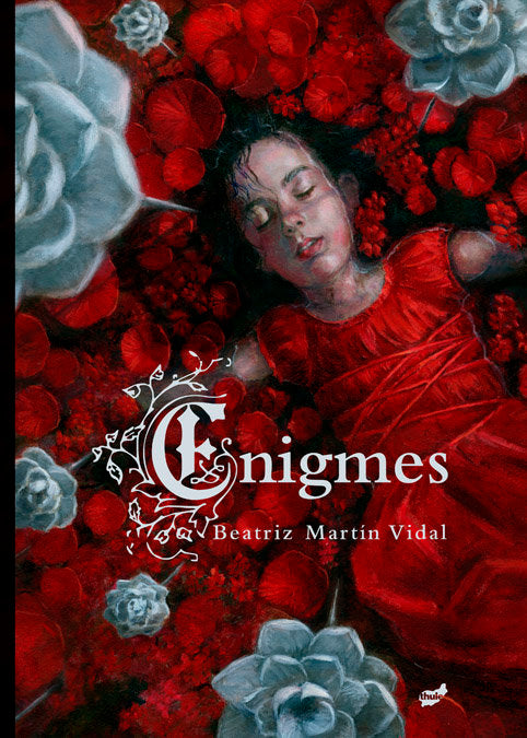 ENIGMES, de BEATRIZ MARTIN VIDAL | portada del libro