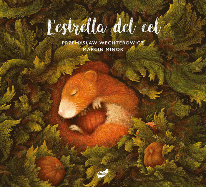LESTRELLA DEL CEL, de PRZEMYSLAW WECHTEROWICZ | portada del libro