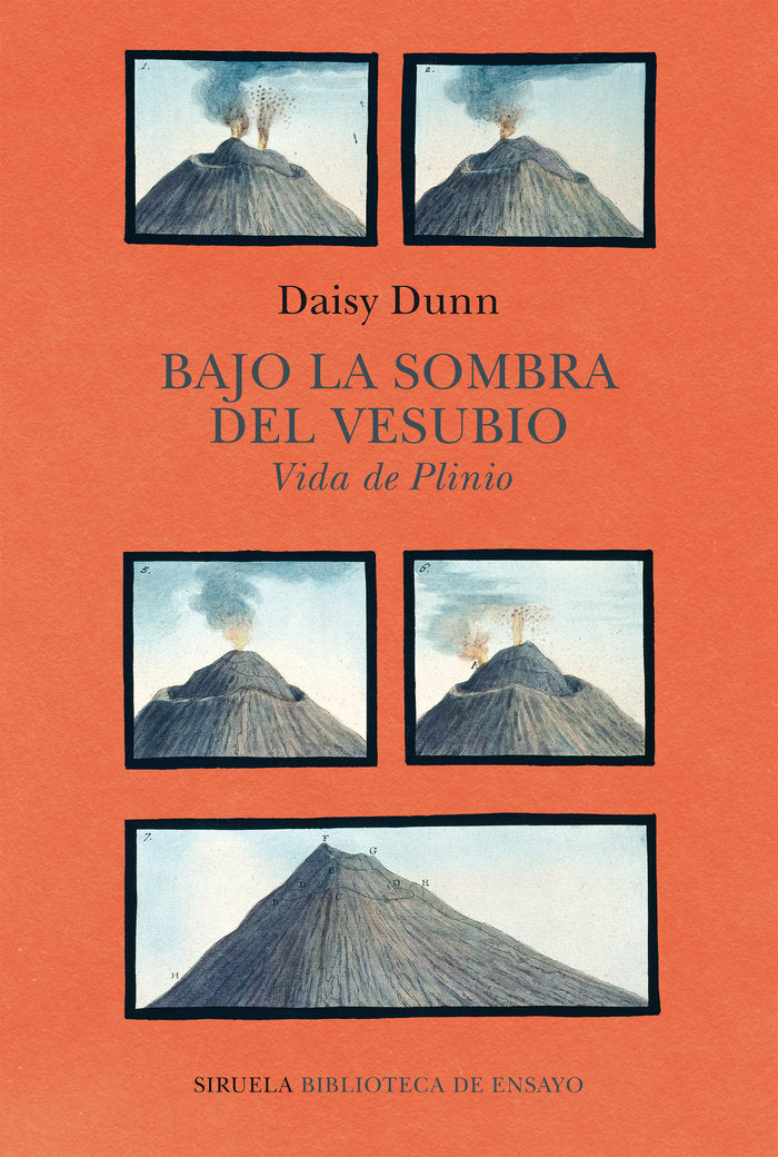 Bajo la sombra del Vesubio, de DUNN | portada del libro