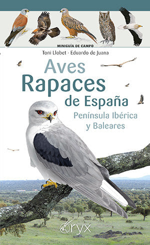 AVES RAPACES DE ESPAÑA PENINSULA IBERICA Y BALEARES, de LLOBET, TONI | portada del libro