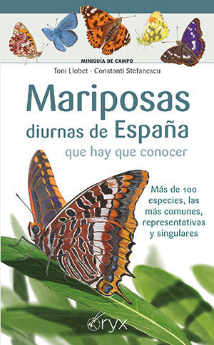 MARIPOSAS DIURNAS DE ESPAÑA QUE HAY QUE CONOCER, de TONI LLOBET | portada del libro