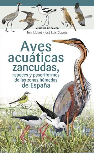 AVES ACUATICAS ZANCUDAS RAPACES Y PASERIFORMES ZONAS HUMEDAS, de COPETE, JOSE LUIS | portada del libro