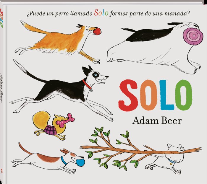 SOLO, de BEER, ADAM | portada del libro