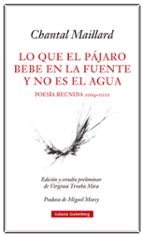 LO QUE EL PÁJARO BEBE EN LA FUENTE Y NO ES EL AGUA, de Chantal Maillard | portada del libro