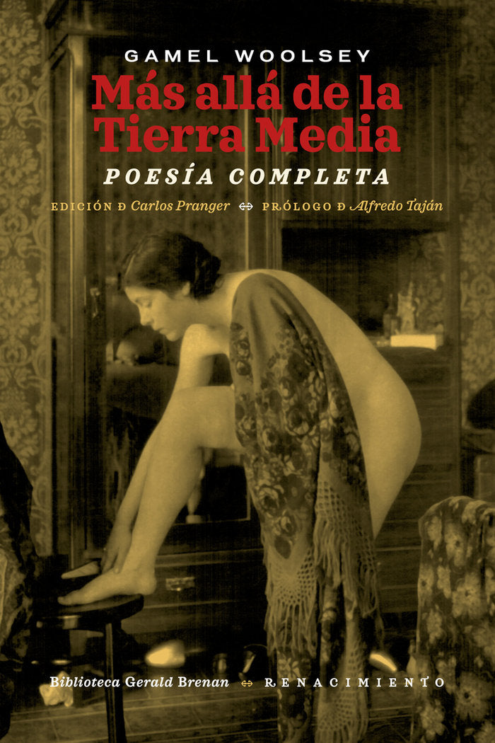 MAS ALLA DE LA TIERRA MEDIA, de WOOLSEY, GAMEL | portada del libro
