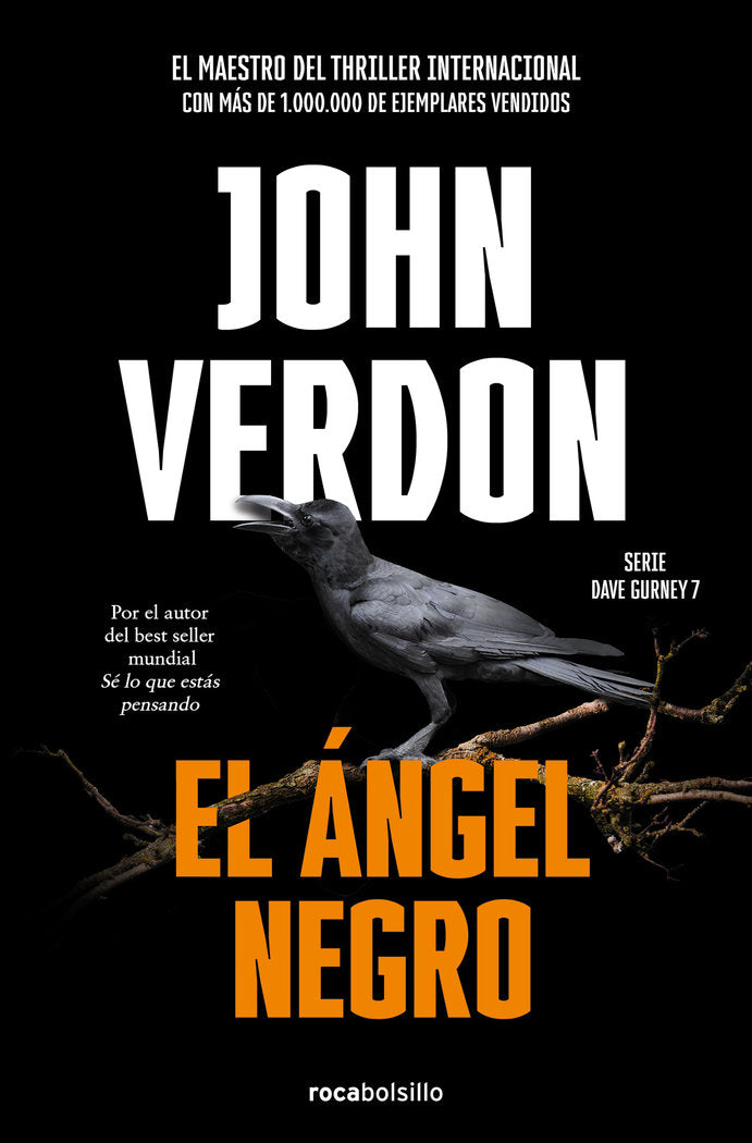 EL ANGEL NEGRO, de VERDON, JOHN | portada del libro