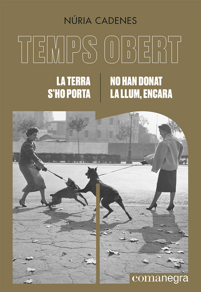La terra s'ho porta / No han donat la llum, encara, de CADENES, NURIA | portada del libro