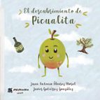 EL DESCUBRIMIENTO DE PICUALITA, de JUAN ANTONIO ALVAREZ MORALJAVIER GUTIERREZ GONZALEZ | portada del libro