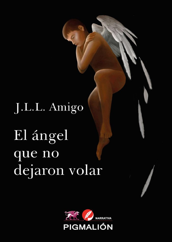 EL ÁNGEL QUE NO DEJARON VOLAR, de López Amigo, José Luis | portada del libro