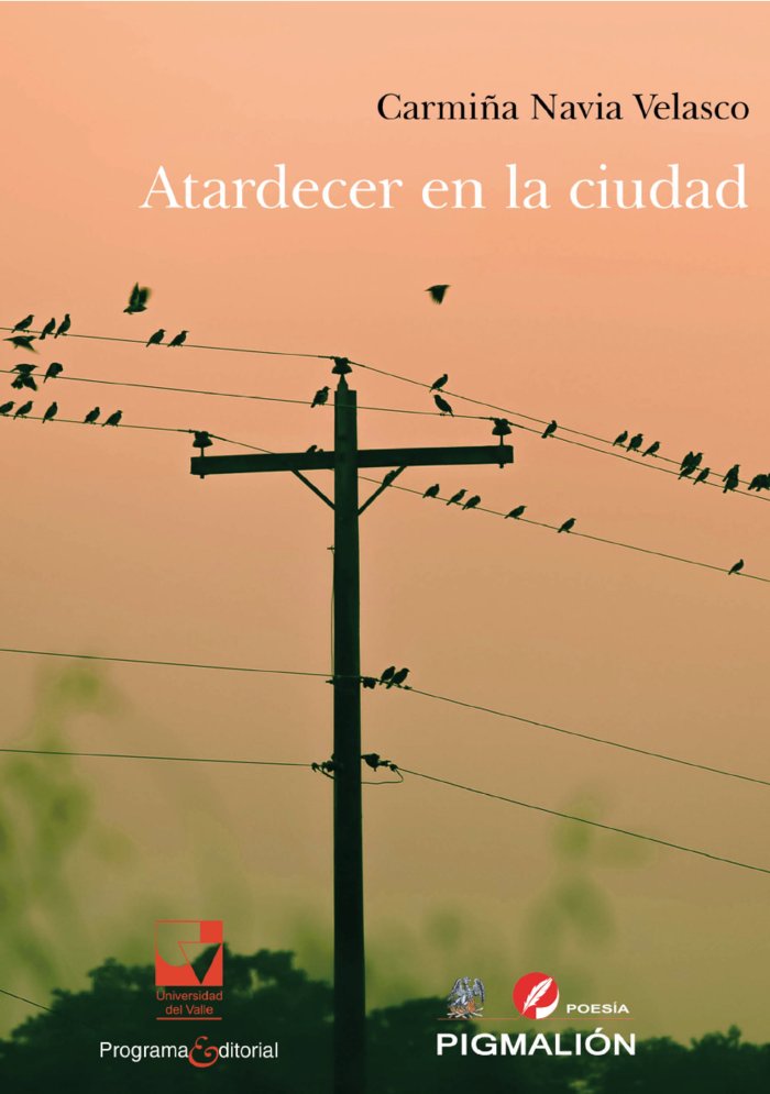 ATARDECER EN LA CIUDAD, de Navia Velasco, Carmiña | portada del libro