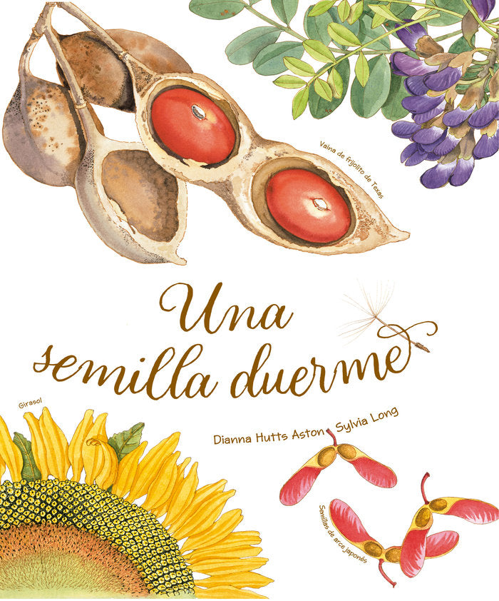 UNA SEMILLA DUERME - CASTELLANO, de DIANNA HUTTS ASTON | portada del libro