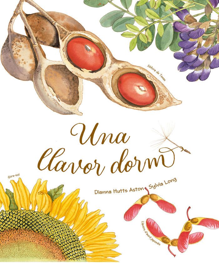 UNA LLAVOR DORM - CATALA, de DIANNA HUTTS ASTON | portada del libro