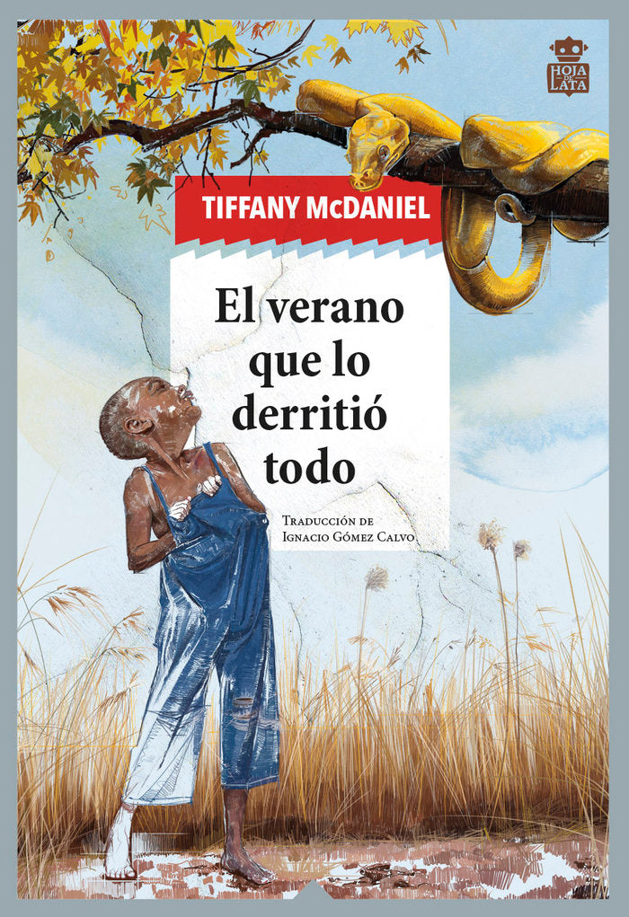 EL VERANO QUE LO DERRITIO TODO, de MCDANIEL, TIFFANY | portada del libro