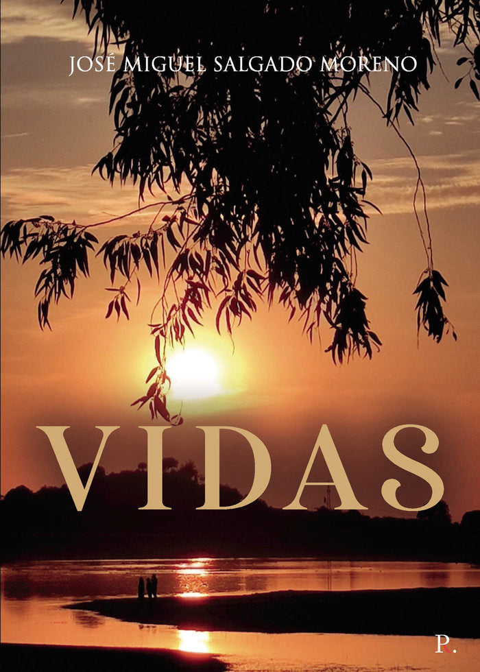 VIDAS, de Salgado Moreno, José Miguel | portada del libro
