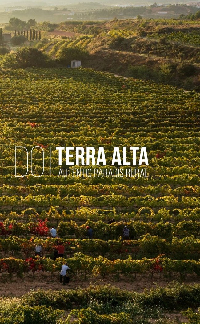 D.O. TERRA ALTA. AUTENTIC PARADIS RURAL, de FERRAS SEBASTIA, ANNA | portada del libro