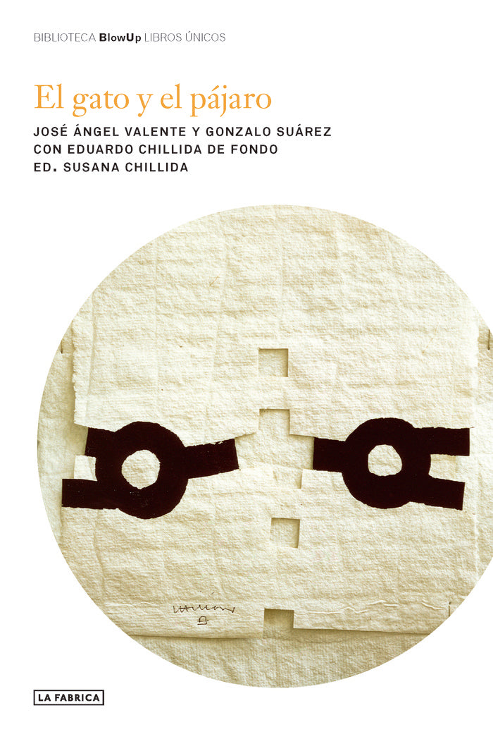 EL GATO Y EL PAJARO, de CHILLIDA, SUSANA | portada del libro