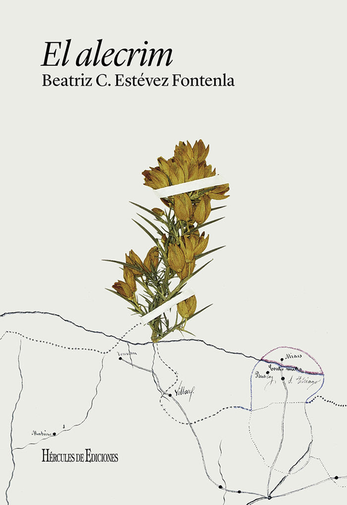 El alecrim, de Estévez Fontenla, Beatriz C. | portada del libro