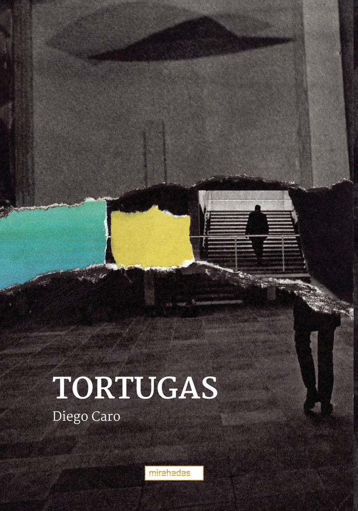Tortugas, de CARO,DIEGO | portada del libro