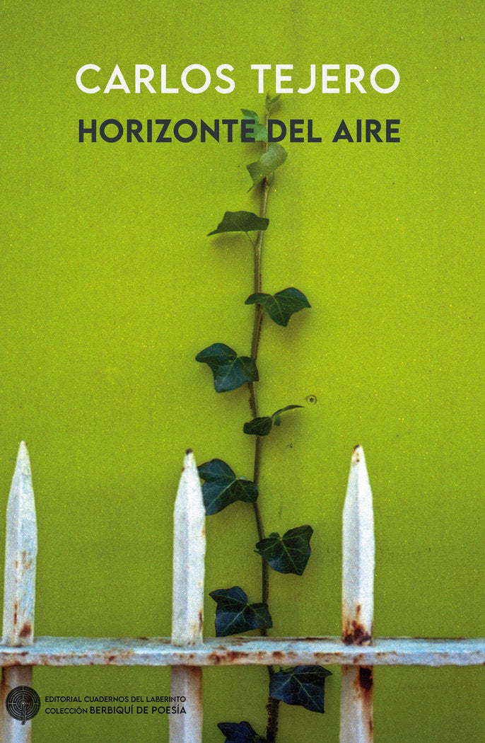 Horizonte del aire, de TEJERO,CARLOS | portada del libro