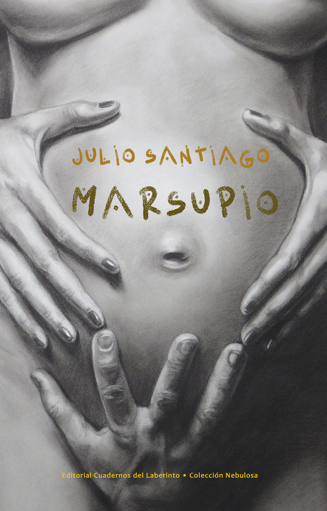 MARSUPIO, de SANTIAGO, JULIO | portada del libro