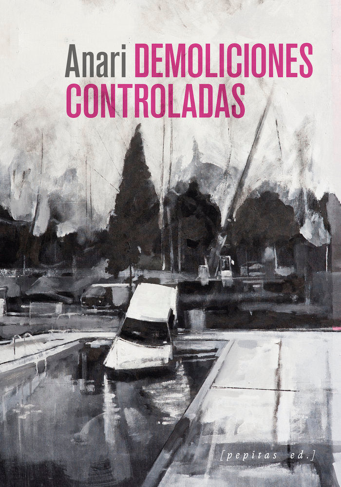 Demoliciones controladas, de ALBERDI SANTESTEBAN, ANARI | portada del libro