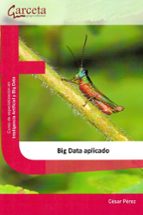 BIG DATA APLICADO, de César Pérez | portada del libro