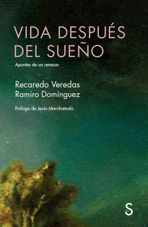 VIDA DESPUES DEL SUEÑO, de VERDAS, RECADERO | portada del libro